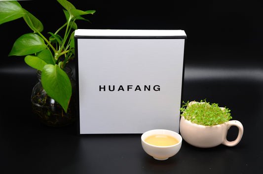 HUAFANGCUN Huafang Village White Tea Dragon Pearl