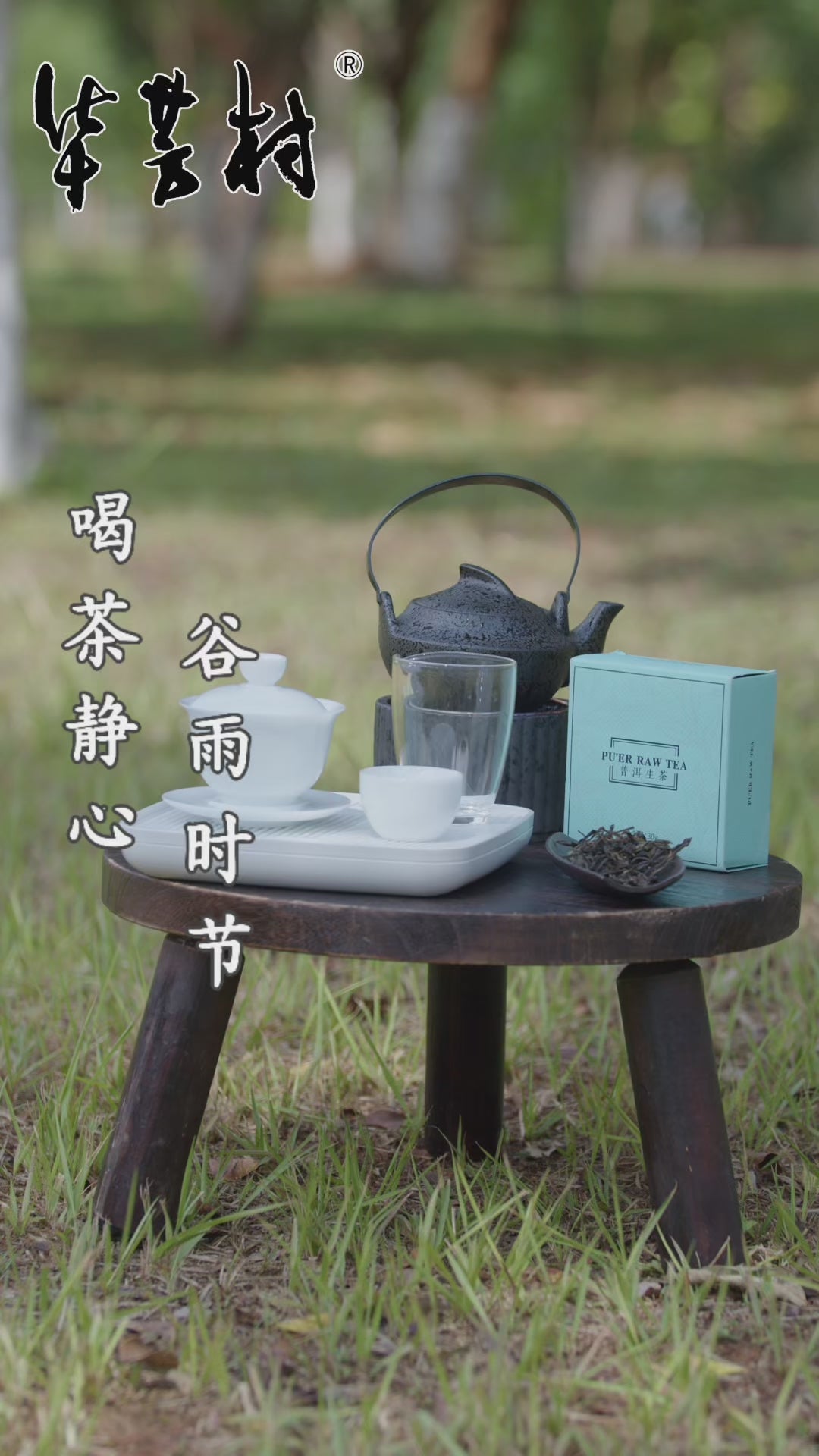 Huafang Village Pu’er Raw Tea （Gift Box）